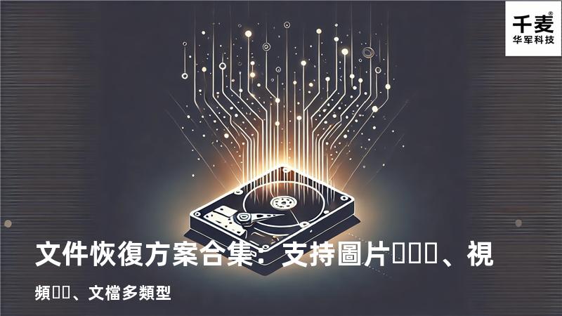 文件恢復方案合集：支持圖片、視頻、文檔多類型 